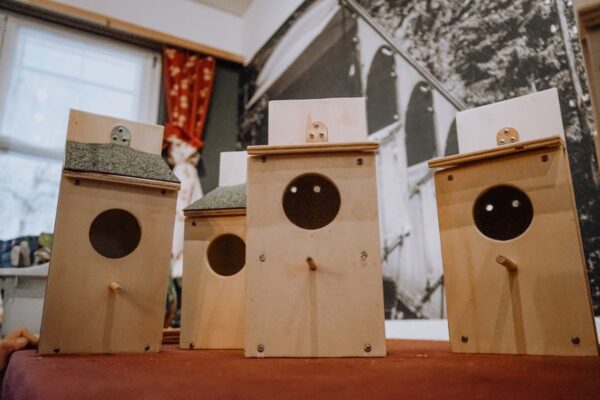 Nest boxes for migratory birds, built by the teams