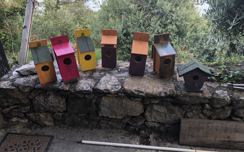 Painted birdhouses built by the teams, lined up and ready to be given away