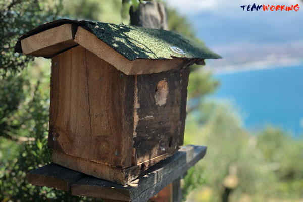 Nest boxes for migratory birds, built by the teams