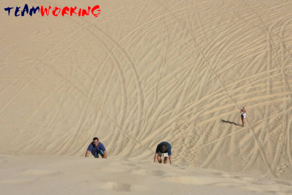 A group managing with what the desert offers, alongside a survival instructor