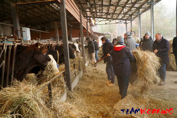A day of work on a teaching farm, among the animals
