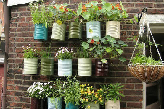 A vertical garden built by a team and given to a school