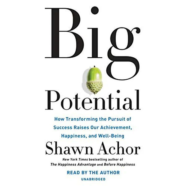Big Potential by Shawn Achor, book cover