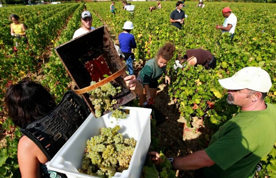 Participants tasting and blending wine during a Wine Experience